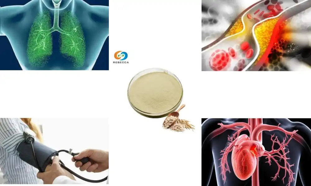 Top Health Benefits of Oat Beta Glucan Powder